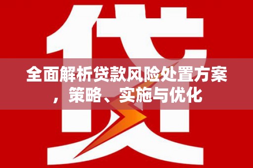 南郊全面解析贷款风险处置方案，策略、实施与优化