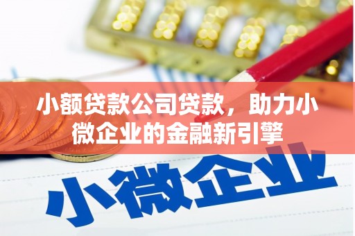 南郊小额贷款公司贷款，助力小微企业的金融新引擎
