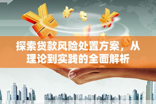 南郊探索贷款风险处置方案，从理论到实践的全面解析