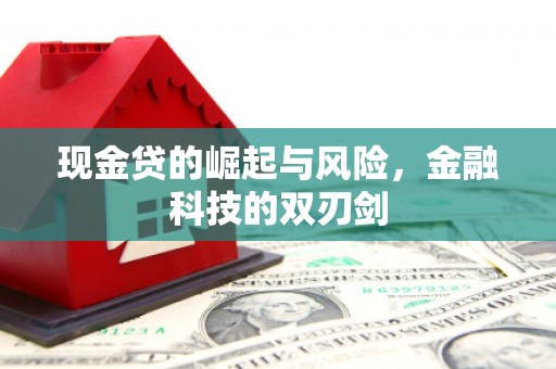 南郊现金贷的崛起与风险，金融科技的双刃剑