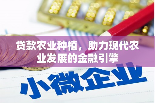 南郊贷款农业种植，助力现代农业发展的金融引擎