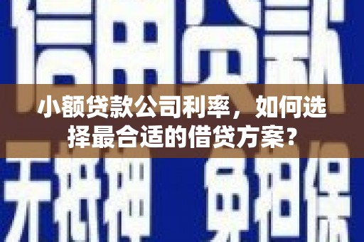 南郊小额贷款公司利率，如何选择最合适的借贷方案？