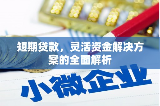 南郊短期贷款，灵活资金解决方案的全面解析