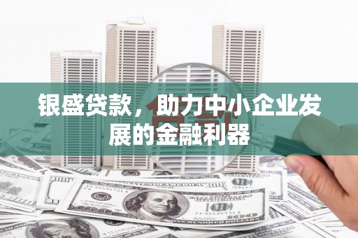 南郊银盛贷款，助力中小企业发展的金融利器