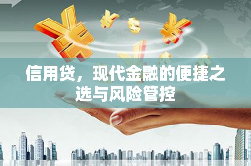 南郊信用贷，现代金融的便捷之选与风险管控