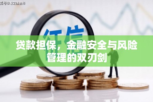 南郊贷款担保，金融安全与风险管理的双刃剑