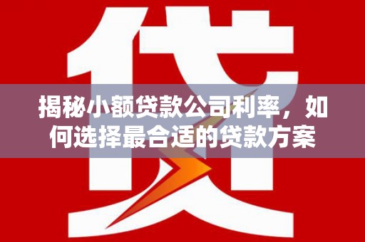 南郊揭秘小额贷款公司利率，如何选择最合适的贷款方案