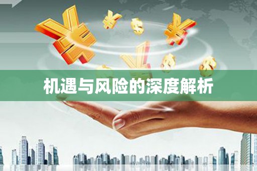 南郊机遇与风险的深度解析