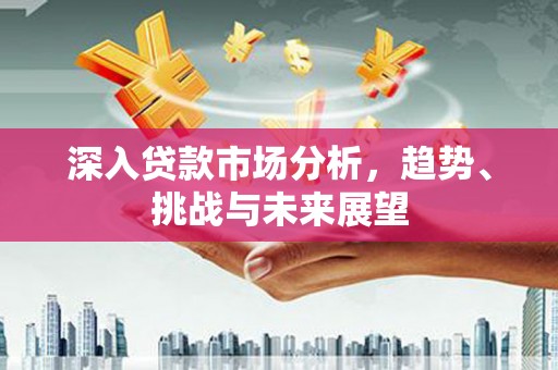 南郊深入贷款市场分析，趋势、挑战与未来展望