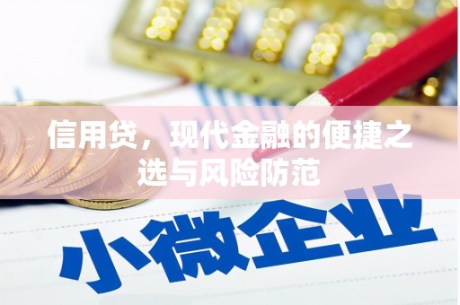 南郊信用贷，现代金融的便捷之选与风险防范