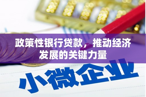 南郊政策性银行贷款，推动经济发展的关键力量