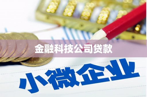 南郊金融科技公司贷款