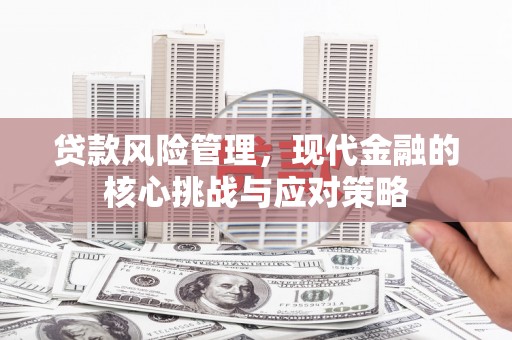 南郊贷款风险管理，现代金融的核心挑战与应对策略