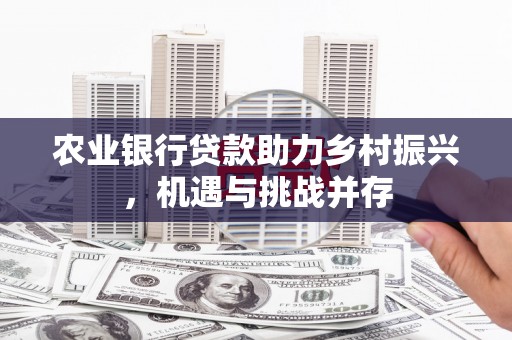 南郊农业银行贷款助力乡村振兴，机遇与挑战并存