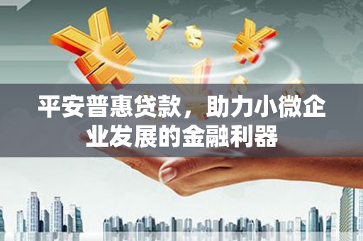 南郊平安普惠贷款，助力小微企业发展的金融利器