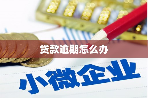 南郊贷款逾期怎么办