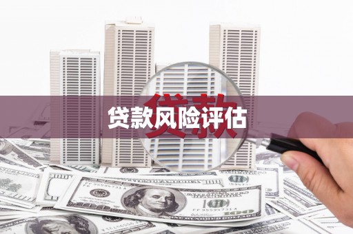 南郊贷款风险评估