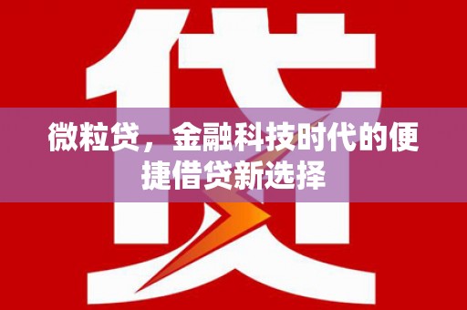南郊微粒贷，金融科技时代的便捷借贷新选择