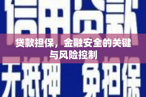 南郊贷款担保，金融安全的关键与风险控制