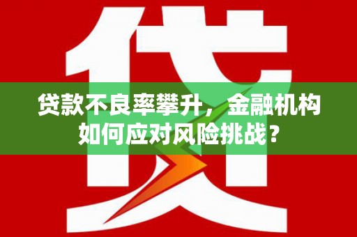 南郊贷款不良率攀升，金融机构如何应对风险挑战？