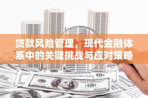 南郊贷款风险管理，现代金融体系中的关键挑战与应对策略