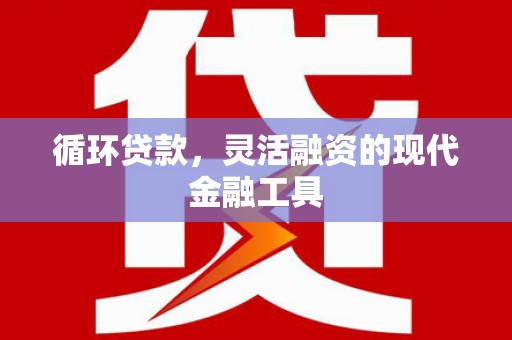 南郊循环贷款，灵活融资的现代金融工具