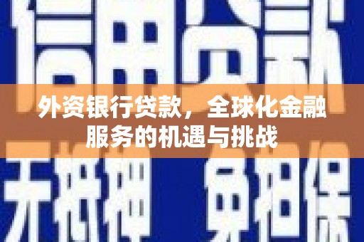 南郊外资银行贷款，全球化金融服务的机遇与挑战
