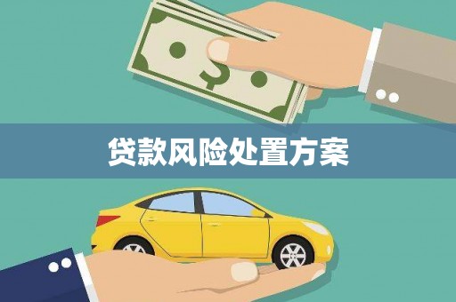 南郊贷款风险处置方案