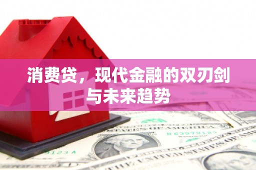 南郊消费贷，现代金融的双刃剑与未来趋势
