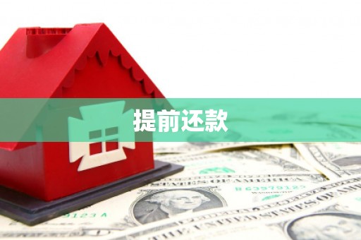 南郊提前还款