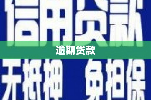 南郊逾期贷款