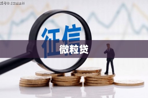 南郊微粒贷