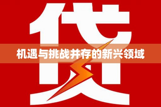 南郊机遇与挑战并存的新兴领域
