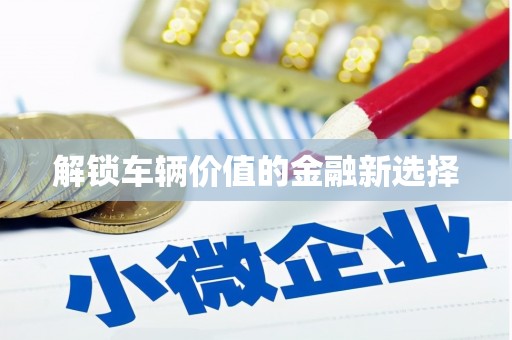 南郊解锁车辆价值的金融新选择