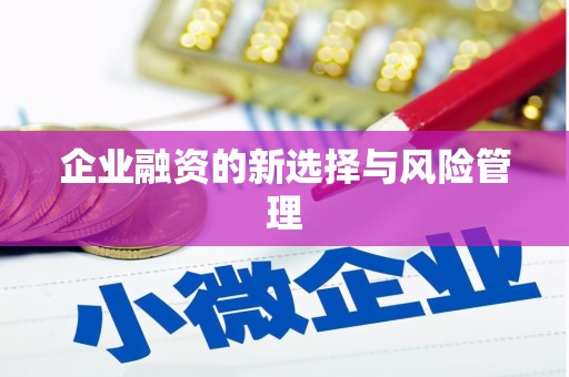 南郊企业融资的新选择与风险管理