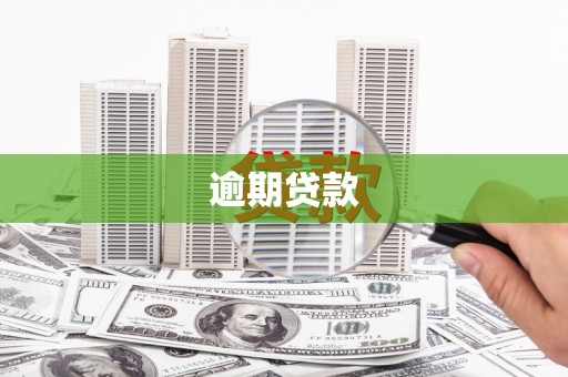 南郊逾期贷款